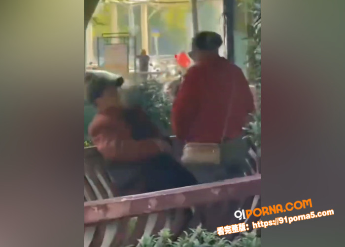 公园凉亭转角遇到爱！老登...（1）