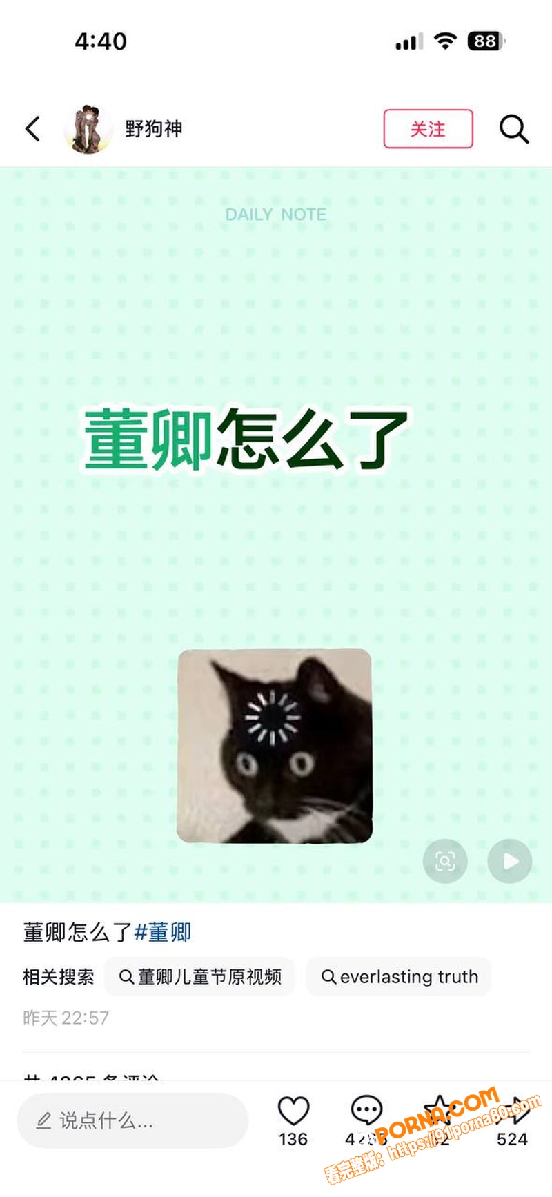 娱乐圈明星 董卿 递巧克...（4）